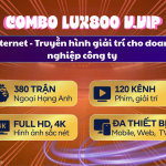 Combo Lux 800 - V.VIP