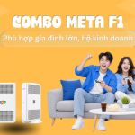 Combo Meta F1
